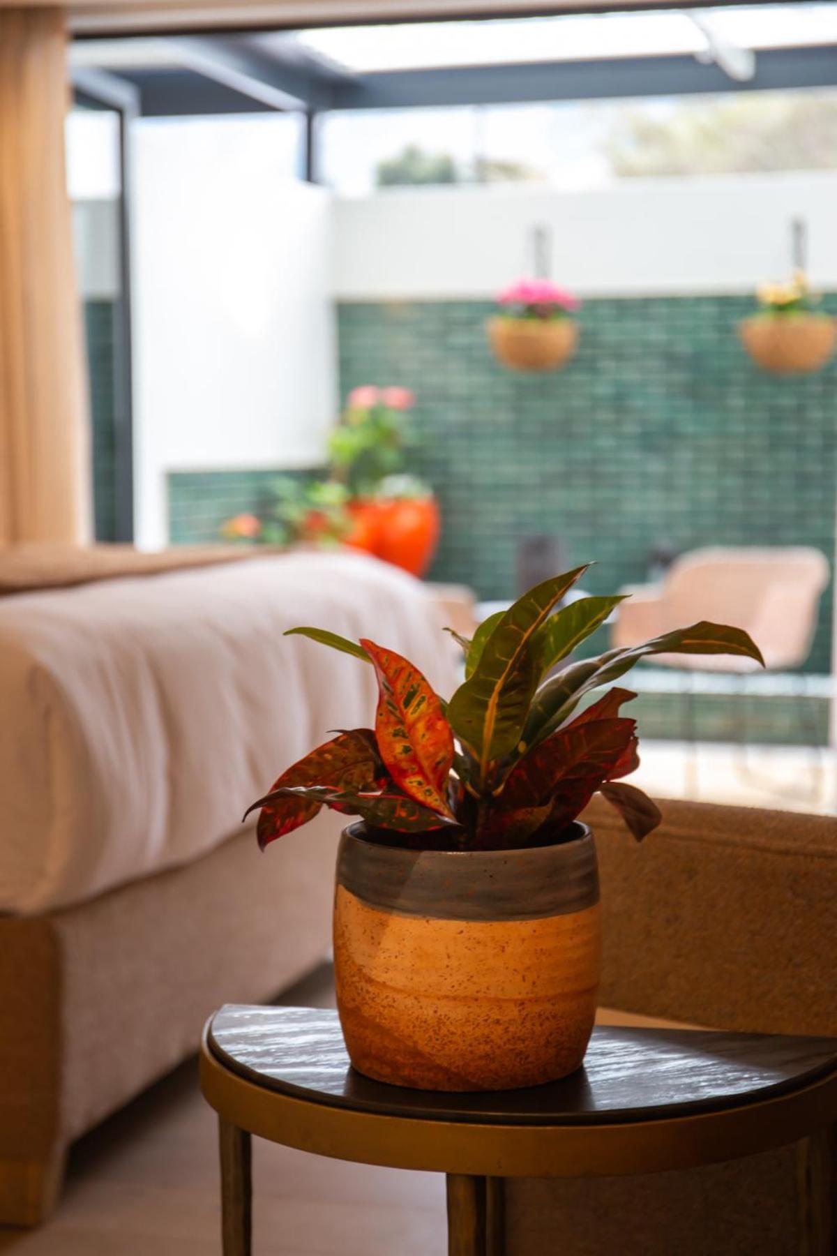 Le Petit Manoir Boutique Hotel فرانستشوك المظهر الخارجي الصورة